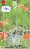 Télécarte Japon  OISEAU *  * BIRD * VOGEL (3986) PHONECARD JAPAN * TELEFONKARTE * - Songbirds & Tree Dwellers