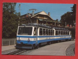 TX-19  Chemin De Fer Glion Rochers De Naye. Train  Automotrice Villeneuve, Photo De 1983. Non Circulé - Roche