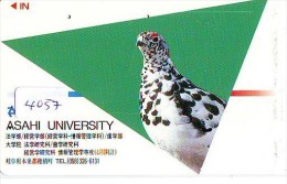 Télécarte Japon  OISEAU * BIRD * VOGEL (4057) PHONECARD JAPAN * TELEFONKARTE - Gallinaceans & Pheasants