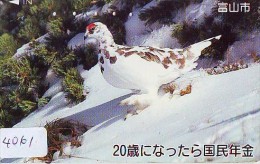 Télécarte Japon  OISEAU * BIRD * VOGEL (4061) PHONECARD JAPAN * TELEFONKARTE - Hoenderachtigen & Fazanten