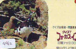 Télécarte Japon  OISEAU * BIRD * VOGEL (4062) PHONECARD JAPAN * TELEFONKARTE - Gallinaceans & Pheasants