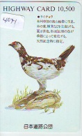 Télécarte Japon  OISEAU * BIRD * VOGEL (4071) PHONECARD JAPAN * TELEFONKARTE - Hoenderachtigen & Fazanten