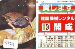 Télécarte Japon  OISEAU * BIRD * VOGEL *  (4074) PHONECARD JAPAN * TELEFONKARTE - Hühnervögel & Fasanen