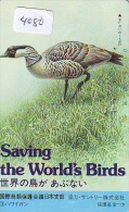 Télécarte Japon  OISEAU * BIRD * VOGEL * SAVING THE WORLDS BIRDS  (4080) PHONECARD JAPAN * TELEFONKARTE - Hühnervögel & Fasanen