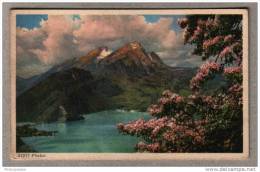 Pilatus - Lac - See - Arbre En Fleurs - Autres & Non Classés