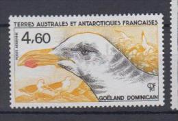 Terres Australes Et Antarctiques Françaises YV PA 92 N 1986 Goéland - Palmípedos Marinos