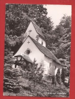 TY-23  Bürgenstock Waldkapelle. Gelaufen. - Wald