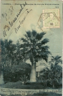 Portugal & Bilhete Postal, Jardim Da Escola Politecnica , Lisboa, Koursk 1908 (134) - Cartas & Documentos