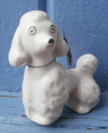 Chien, Caniche  En Porcelaine, Hauteur 5 Cm, Objet De Vitrine - Animaux