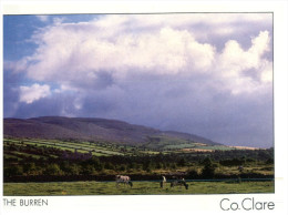 (160) Ireland - Co Claire - Clare
