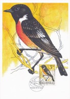 Czech Rep. / Cartes Maximum (1994/14-1) Praha: Nature Conservation (songbirds) Saxicola Torquata (I0108) - Lettres & Documents