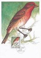Czech Rep. / Cartes Maximum (1994/14-2) Praha: Nature Conservation (songbirds) Carpodacus Erythrinus (I0107) - Covers & Documents