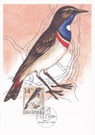 Czech Rep. / Cartes Maximum (1994/14) Praha: Nature Conservation (songbirds) (3 Pieces) (I0106-I0108) - Covers & Documents