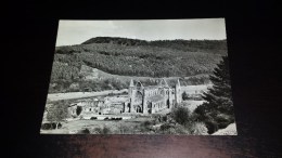 C-23291 CARTOLINA TINTERN ABBEY - GENERAL VIEW FROM S.W. - Monmouthshire