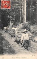 Vosges   88       Schlitteurs. Bois  Forêt - Sonstige & Ohne Zuordnung