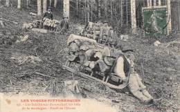 Vosges   88       Forêt De L'Urson Schlitteurs. Bois - Autres & Non Classés