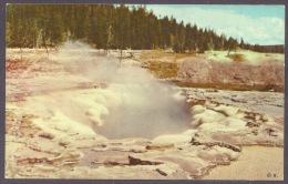 USA - Yellowstone National Park, Oblong Geyser Crater, Upper Basin, Hot Springs, Wyoming PC - Yellowstone