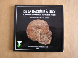 DE LA BACTERIE A LUCY  Cordy  Archéologie Belgique Paleontologie Histoire Fossile Frasnien Limbourg Luxembourg - Archéologie