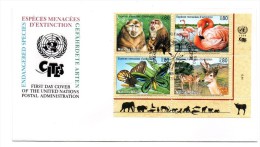 1998 ONU NAZIONI UNITE GINEVRA- PROTEZIONE DELLA NATURA FDC - FDC