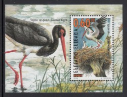 Bulgaria MNH Scott #4127 Souvenir Sheet 60s Ciconia Ciconia - Birds - Storks & Long-legged Wading Birds