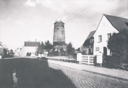 Ruddervoorde  Molen / Moulin    Torhoutstraat - Oostkamp