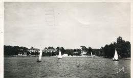 CPSM 40  HOSSEGOR VOILIERS SUR LE LAC 1951 - Hossegor