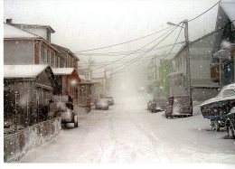 SAINT PIERRE ET MIQUELON  -  POUDRIN DE CHOQUETTE  -  PATRICK BOEZ  -  400 EX - Saint-Pierre-et-Miquelon