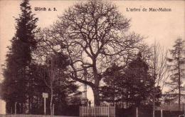 C 11290 - WORTH - Allemagne - L'arbre De Mac Mahon - Belle CPA - 19? - - Woerth
