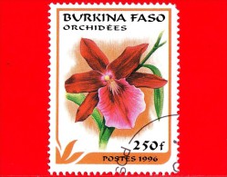 BURKINA FASO - 1996 - Nuovo Oblit.- Fiori - Flowers - Fleurs - Orchidee - Miltonia - 250 - Burkina Faso (1984-...)