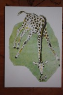 OLD USSR Postcard  - Charushin "Giraffe"  1989 - Giraffes