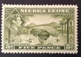 Sierra Leone MH* 1938-1944 Sc 179 SG 179 - Sierra Leona (...-1960)