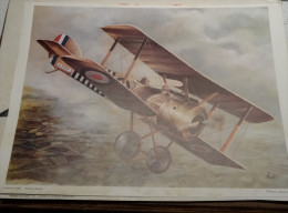 @ 6 GRANDES PLANCHES  AVION S AVIATION PROVENANT ANCIEN CALENDRIER JEAN LAVIGNE SIGNEES AUBLE - Other & Unclassified