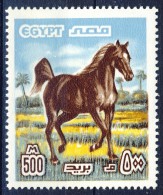 ##K664. Egypt 1978. Horse. Michel 1277. MNH(**) - Neufs