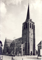 Lille St. Pieterskerk - Lille