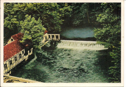 Blaubeuren Blautopf (1953) - Blaubeuren