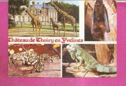 THOIRY EN YVELINES  -  4 VUES ** CHATEAU ET ANIMAUX . -  Editeur :COMBIER De Macon -   N° 100T - Thoiry