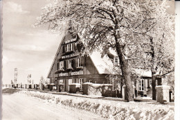 3396 ALTENAU - TORFHAUS, Sporthotel Brockenblick, 1962 - Altenau