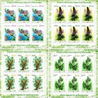 Kyrgyzstan - 2013 - Medicinal Plants Of Kyrgyzstan - Mint Miniature Sheets Set - Kirgisistan