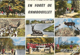 En Forêt De RAMBOUILLET - Rambouillet
