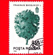 ROMANIA - 1994 - Alberi - Piante - Frassino (Fraxinus Excelsior) - 940 - Oblitérés