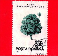 ROMANIA - 1994 - Alberi - Piante - Grande Acero (Acer Pseudoplatanus) - 350 - Oblitérés