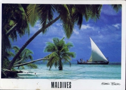Maldives - Atoll Dhoni - Michael Triedel - Formato Grande Viaggiata - Maldive