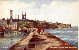 St Andrews From The Harbour - Fife