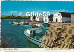 New London Harbour - A View Of One Of The Many Scenic Fishing Villages Found In Canada's Garden Province - Autres & Non Classés