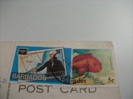 STORIA POSTALE FRANCOBOLLO COMMEMORATIVO PESCE  BARBADOS COBBIERS COVE BEACH ST. PETER PIN UP - Barbades