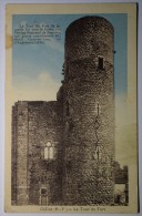 87 : Châlus - La Tour Du Fort - Partiellement Colorisée - Qq Petites Taches - (n°3295) - Chalus