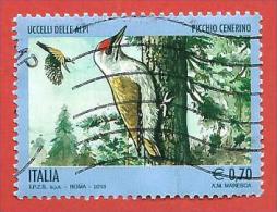 ITALIA REPUBBLICA USATO - 2013 - Uccelli Delle Alpi - Picchio Cenerino - € 0,70 - S. 3454 - 2011-20: Gebraucht