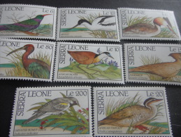 Sierra Leone -Birds - Specht- & Bartvögel