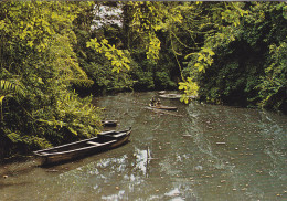 GABON - Image  - Promenade En Pirogue - Gabon