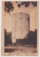 CHATILLON COLIGNY - LE DONJON DU CHATEAU - Chatillon Coligny